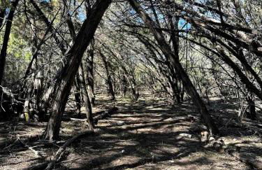 Outstanding Modern Cabin with Spectacular Outdoor and Indoor Areas in Texas - Foto 3