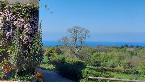 Cap 1 - Foto 2, Garden, Garden view