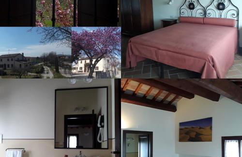 FATTORIA DELLA BILANCIA - Foto 8