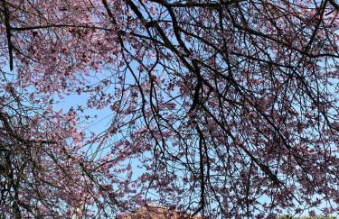 Casa do Barreiro de Cima - Foto 51