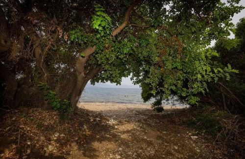 Alethea's Sea View Apartment - Foto 55