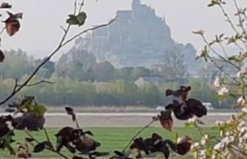 La Mouette - Foto 11