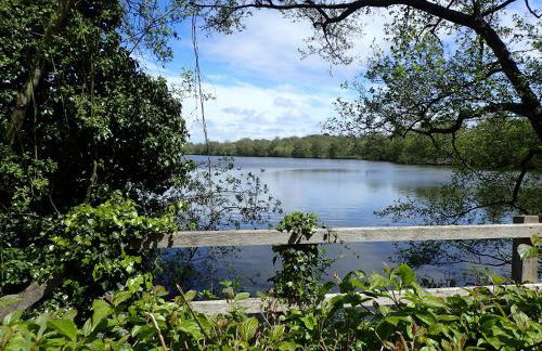 Gîte « Les Oyats » à 400 m de la plage - Foto 43