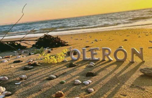 Pomme de Pin et Mimosa - Foto 33