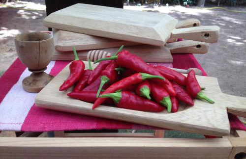 Agriturismo La Casa delle Fate - Photo 71