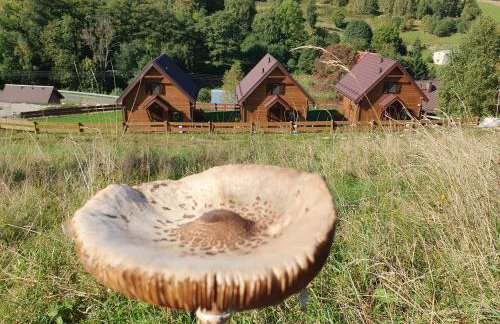 Chata Lisa - Foto 32