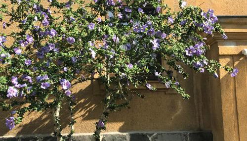 Am Sahnpark - Foto 5