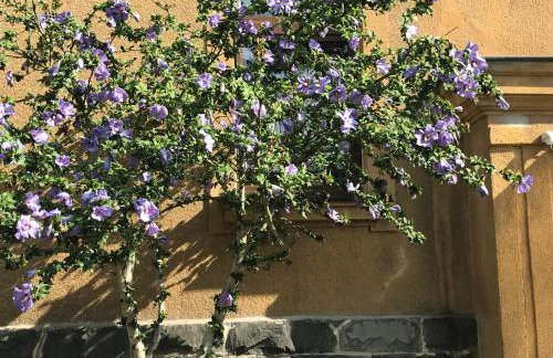 Am Sahnpark - Photo 5