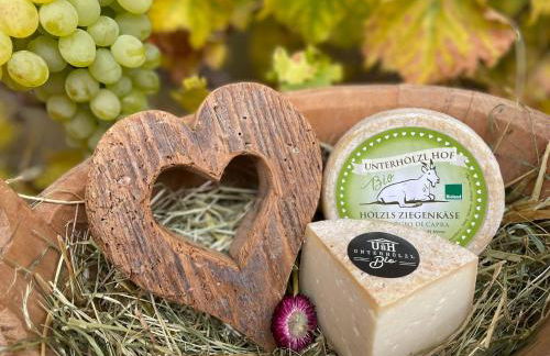 App Unterhoezlhof - Foto 27