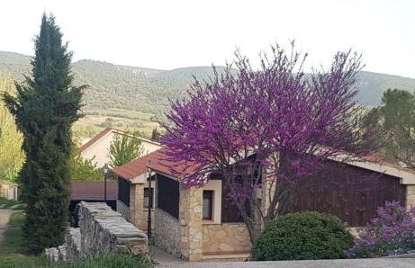 Aventura & Relax Cabañas Peña la Higuera - Foto 28