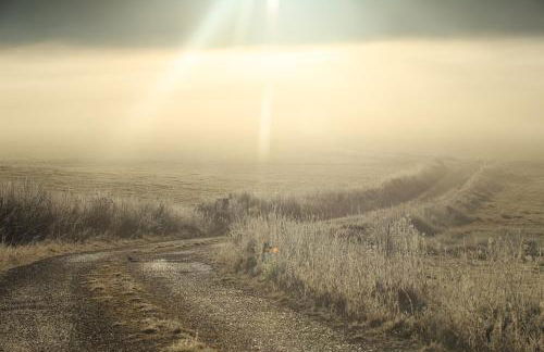 le refuge des Marmottes - Foto 15