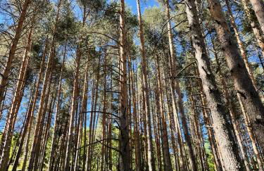 Mi Casita de Gredos - Foto 44