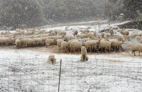 Agriturismo Bed and Breakfast Tanca Taroni - Foto 67