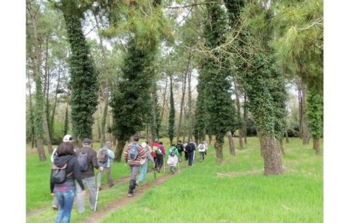 La Villa Morey - Foto 34