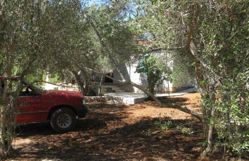 Secluded holiday house Cove Nevidjansko Polje, Pasman - 12806 - Photo 7