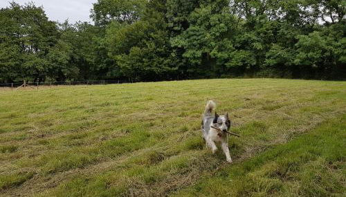 Ponycob hot tub 2 bed ensuite - Foto 5