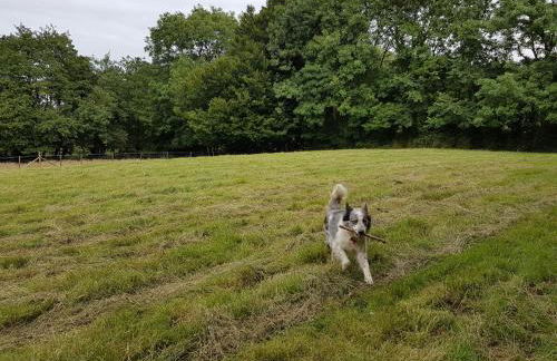 Ponycob hot tub 2 bed ensuite - Photo 5