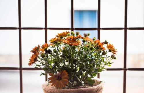 Casa Rural Bellamonte - Foto 63