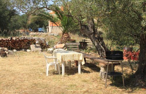 Apartments by the sea Luka - Dugi otok - 8151 - Photo 8