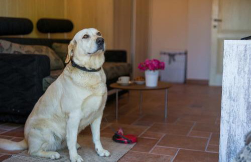 Summer House Magdalena - Foto 61