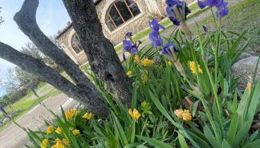 Agriturismo PETRA LUCANA - Photo 2, Garden, Garden view