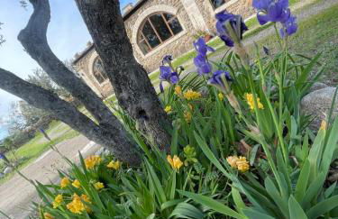 Agriturismo PETRA LUCANA - Photo 2