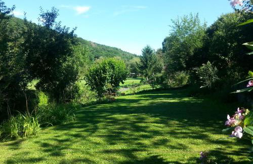 Paradiesgarten am Saaleufer - Foto 23