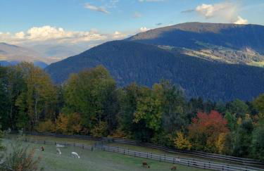 Appartement Birkenhof - Foto 20