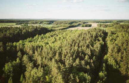 Agroturystyka u Miłosza - Foto 56