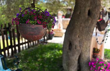 Agriturismo Le Faeta - Foto 7