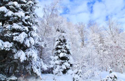 Komfortowy Dom w Chmurach - Foto 67