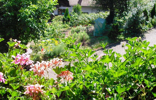 Am Stulzenhof Apartment With Balcony - Photo 16
