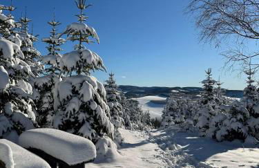 Landgasthof Reinert - Foto 54