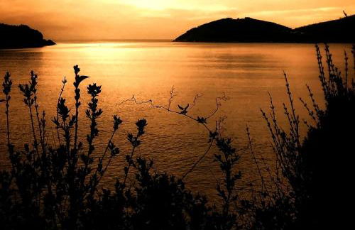 A&L Centro - Foto 21