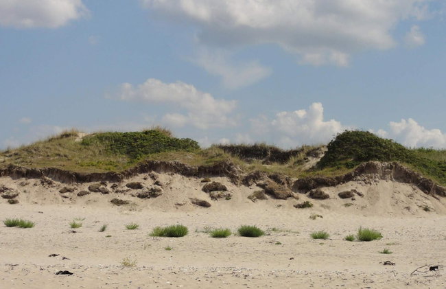5 Star Holiday Home in Liseleje - Foto 27