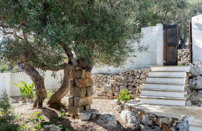 Villa Adria - Piscina Privata con Terrazza Vista Mare Circondata da Uliveti - Foto 12