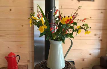 Off Grid 1-bed Cabin, Pets Ok, 20 Mins to Dunoon - Foto 30