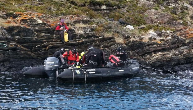 Beagle Channel Diving Introduction - Foto 5
