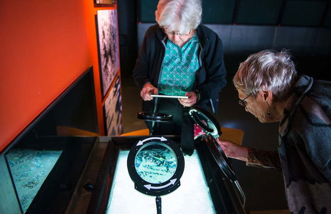 San Francisco CityPASS® - Foto 6