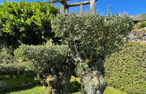 Casa De Santo Andre - Foto 80