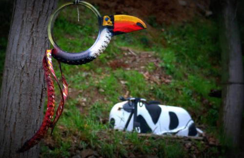 Alojamiento Rural El Brazal - Foto 28