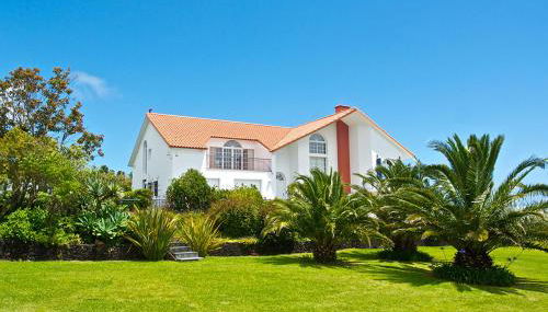 Lobo do Mar - Photo 3