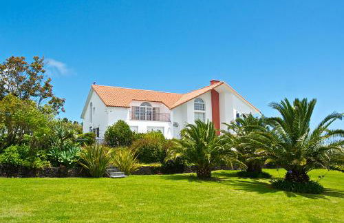 Lobo do Mar - Photo 3