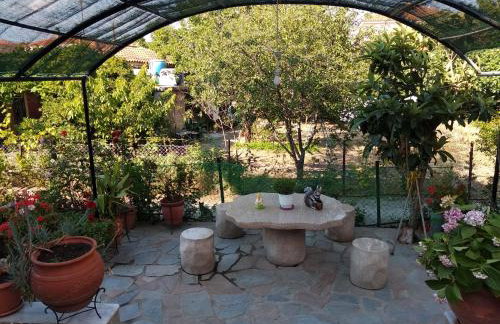 Summer Dream - Foto 6