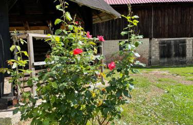 Schellnhof Forsthaus am Waldrand - Foto 8