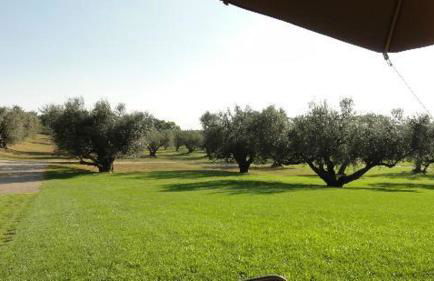 La Pecora Ladra Appartamenti - Foto 32