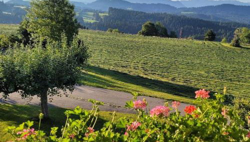 Holiday home in Weitnau with swimming pool - Foto 2, Other