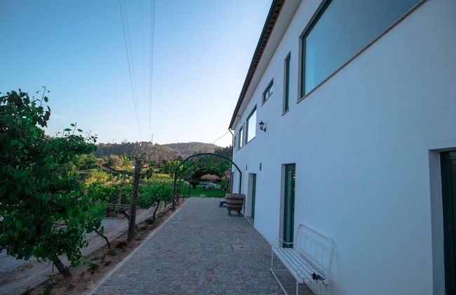 Quinta do Regato Douro - Foto 47