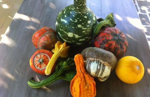 Astra Inn - Photo 29