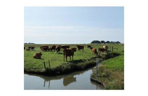 Doc un Katt Comfortable holiday residence - Foto 16